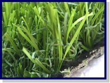 Synthetic Grass Turf